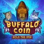 Buffalo Coin_ Hold The Spin